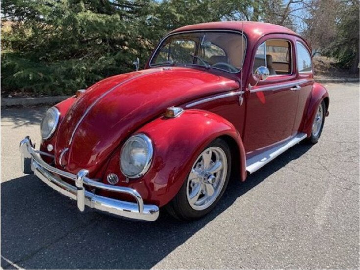 Thumbnail Photo undefined for 1964 Volkswagen Beetle